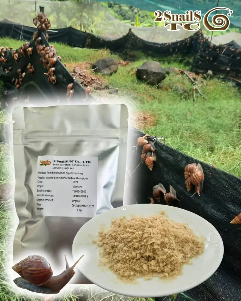 Producteur artisanal de bave d’escargot biologique lyophilisée Producteur artisanal de bave d’escargot biologique lyophilisée